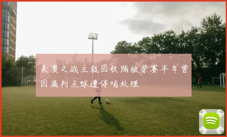 美澳之战主裁因收贿被禁赛半年曾因漏判点球遭停哨处理